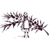 Logo-chocolaterie-Marcellin